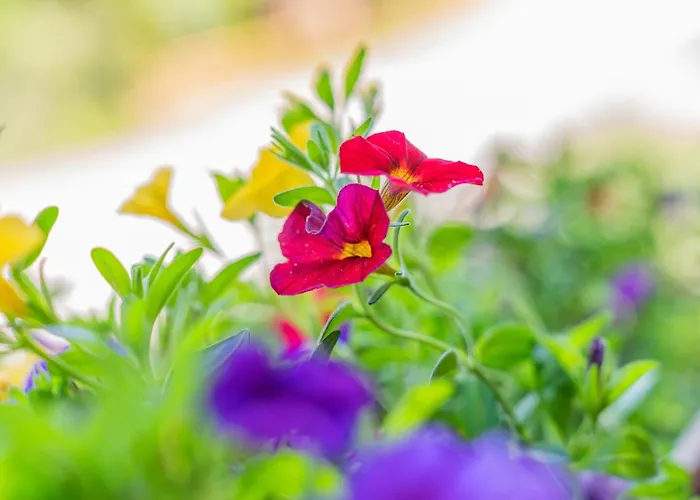 Rettenstein Apartment Kirchberg in Tirol